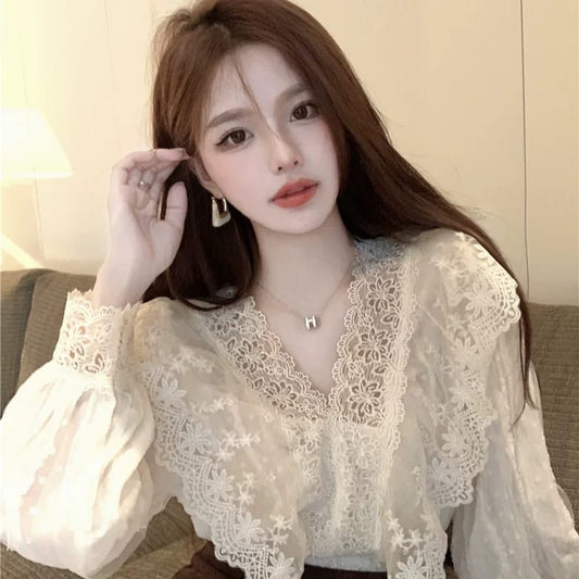 Western Couture Imported Mesh Net Beautiful Partywear Full Sleeves Top