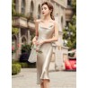 Western Couture Imported Elegant Bodycon Party Wear Dress