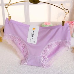 Western Couture Soft Modal Lace Detailed Women's Underwear (Pack of 1)