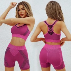 Imported Seamless Padded Sports Bralette & High-Waist Yoga Shorts Set
