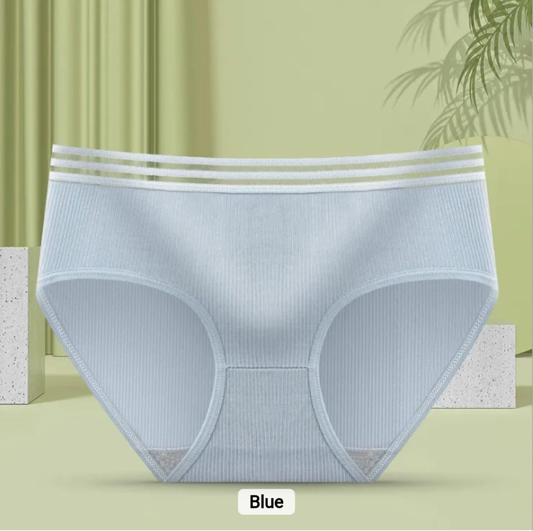 Western Couture Women's Low-Rise Ribbed Panties (Pack of 3) - Multi-Color Seamless Hipster Set