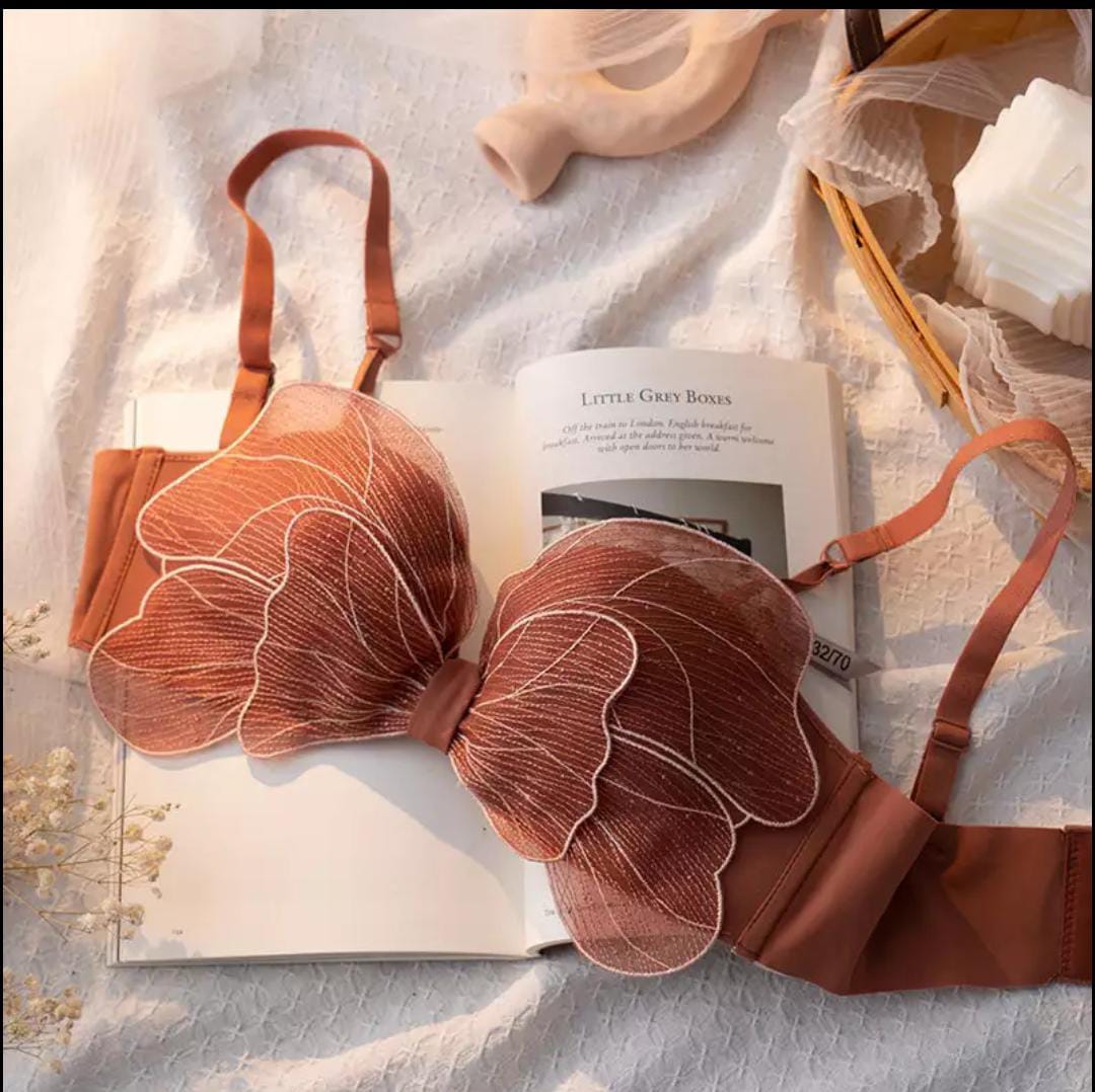 Butterfly Wing Lingerie Set - Brown/Rust Flat Lay